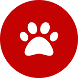 Pets & Vets